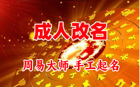 秀洲成人改名-找大师一对一改名先分析后改名